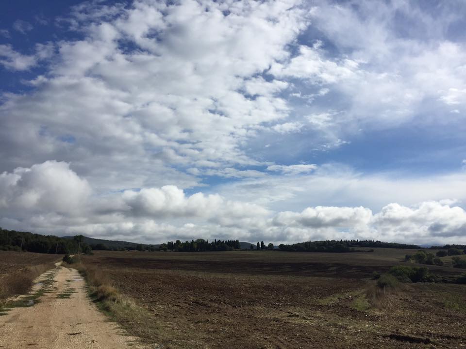 Intorno a Porchiano, foto di Giulia Micci.